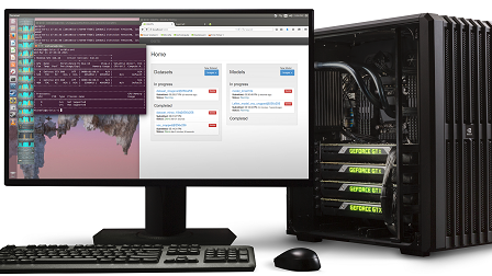 Entropix